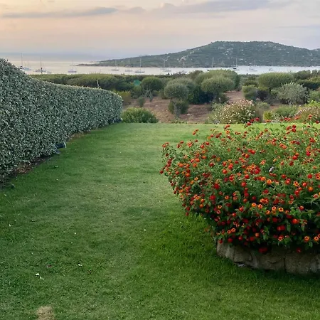 Delizioso Vista Mare * Porto Pollo